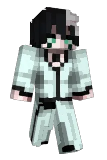 raawmii Minecraft avatar full body