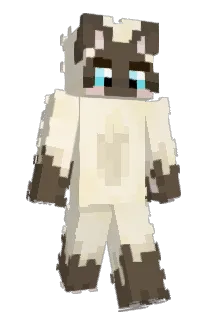 rabebo Minecraft avatar full body