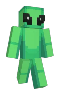 rackoonn Minecraft avatar full body