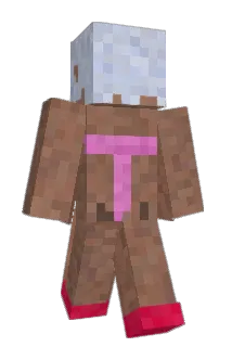 racota Minecraft avatar full body