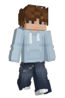 radarr Minecraft avatar full body