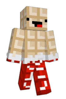 radio1192 Minecraft avatar full body
