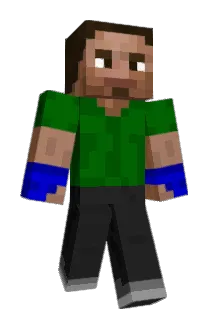 radiskull Minecraft avatar full body