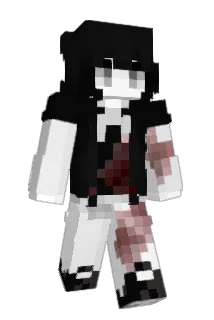 radn64 Minecraft avatar full body