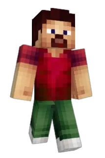 radomand Minecraft avatar full body