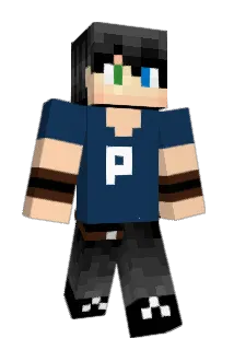 radzix Minecraft avatar full body