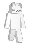 raesins Minecraft avatar full body