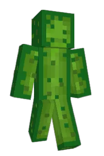 rafterboi Minecraft avatar full body