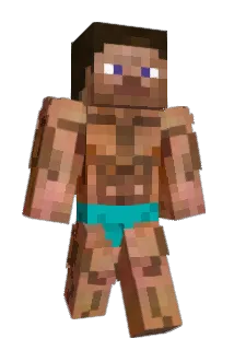ragdollphysix Minecraft avatar full body