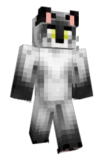 ragnar28190 Minecraft avatar full body
