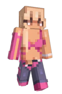 raidxo Minecraft avatar full body