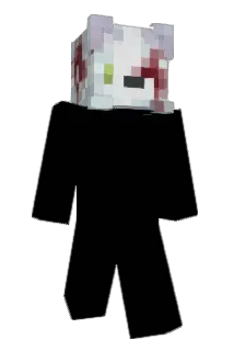 rainhua Minecraft avatar full body