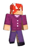 raizinnDX Minecraft avatar full body
