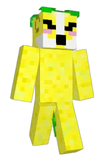 ramblewriter Minecraft avatar full body
