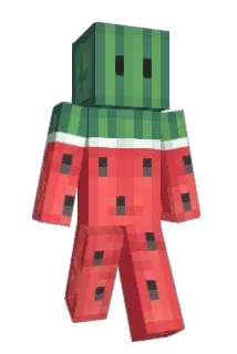 ran1larnk Minecraft avatar full body