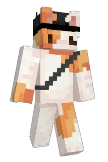 randomcatboy Minecraft avatar full body