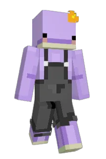 randomduke Minecraft avatar full body
