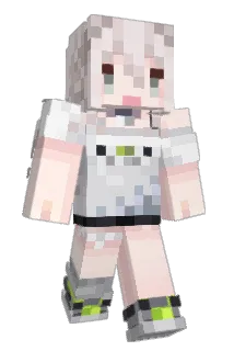 rap4750 Minecraft avatar full body