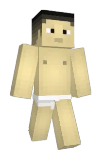 raphbob Minecraft avatar full body