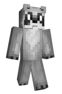 rapidracc00n Minecraft avatar full body