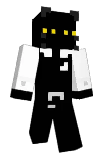 raultabajara Minecraft avatar full body