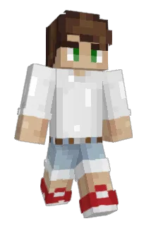 raw_bee Minecraft avatar full body