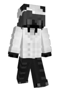 raxid23 Minecraft avatar full body