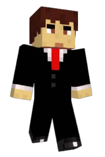 ray8 Minecraft avatar full body