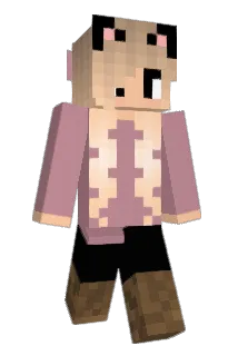 raycat28 Minecraft avatar full body