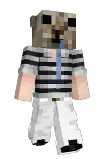 raylima Minecraft avatar full body