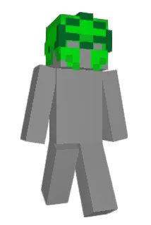 rayoox23 Minecraft avatar full body