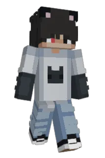 rccoo Minecraft avatar full body