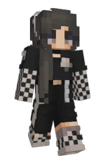 rcseberry Minecraft avatar full body