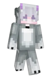 re1ating Minecraft avatar full body