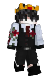realNatesh Minecraft avatar full body