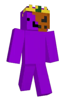 real_player_11 Minecraft avatar full body