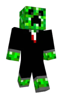 realavgn Minecraft avatar full body