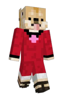 reality9090 Minecraft avatar full body