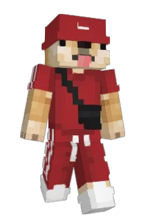 realityx9 Minecraft avatar full body