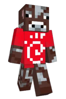 realnickstar229 Minecraft avatar full body