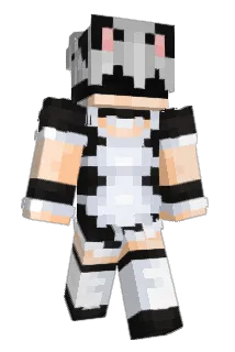 realsweqs Minecraft avatar full body