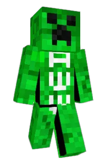 rebornonjoycons Minecraft avatar full body