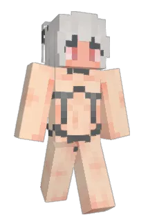 rechen23 Minecraft avatar full body