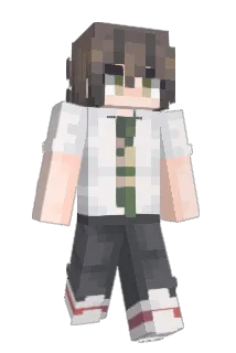 recordzone Minecraft avatar full body