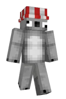 rectionpet Minecraft avatar full body