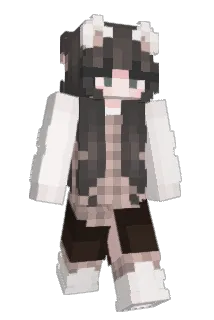 redi1x Minecraft avatar full body