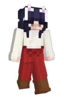 redwallls Minecraft avatar full body