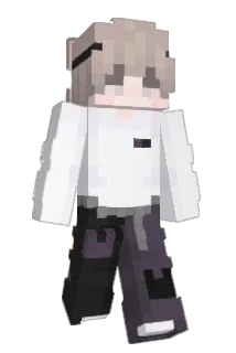 reflazee Minecraft avatar full body