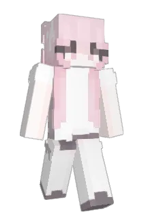 refletido Minecraft avatar full body