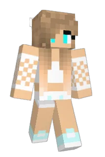 reg909 Minecraft avatar full body